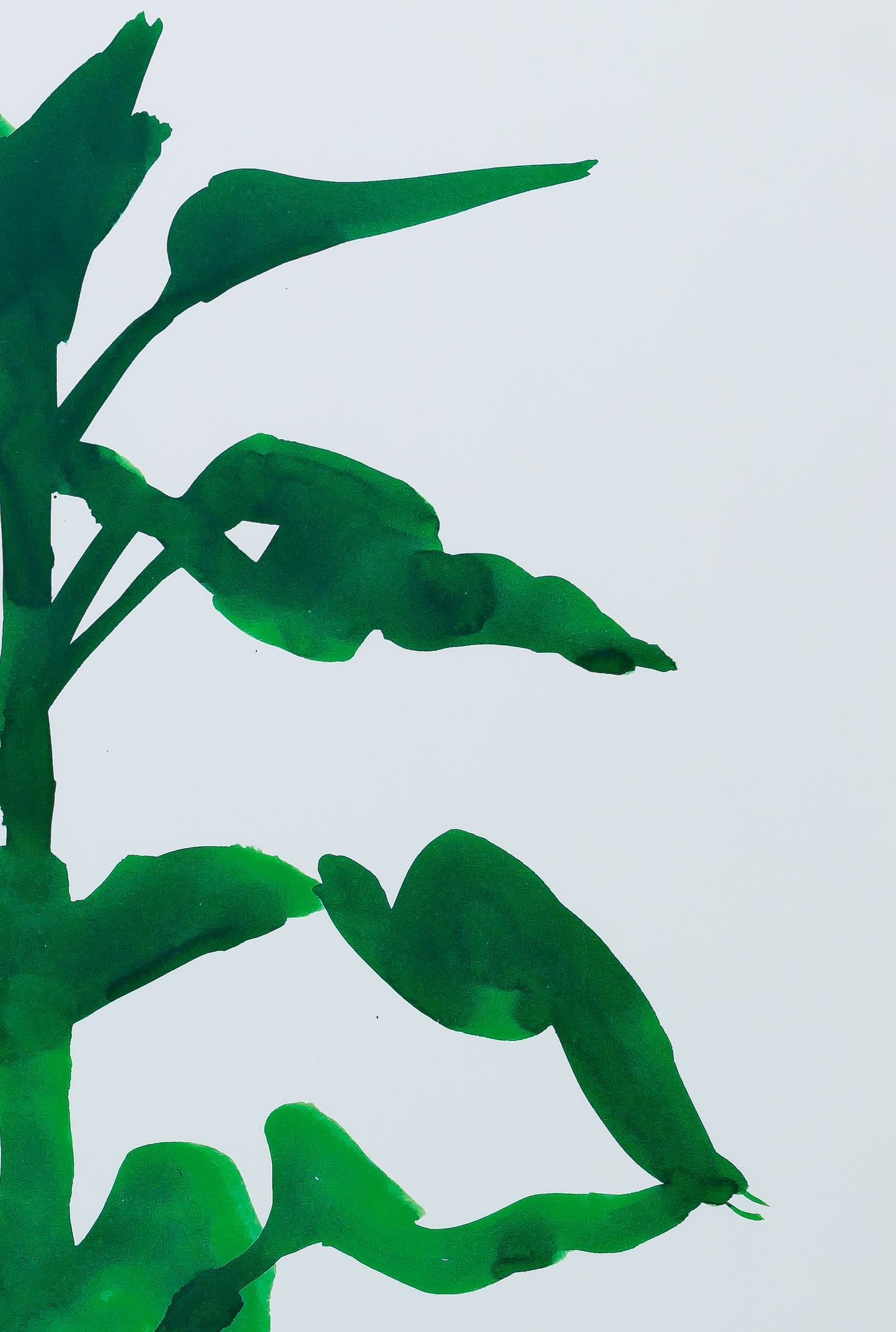 Ellsworth KELLY : Sunflower - Affiche originale en couleurs