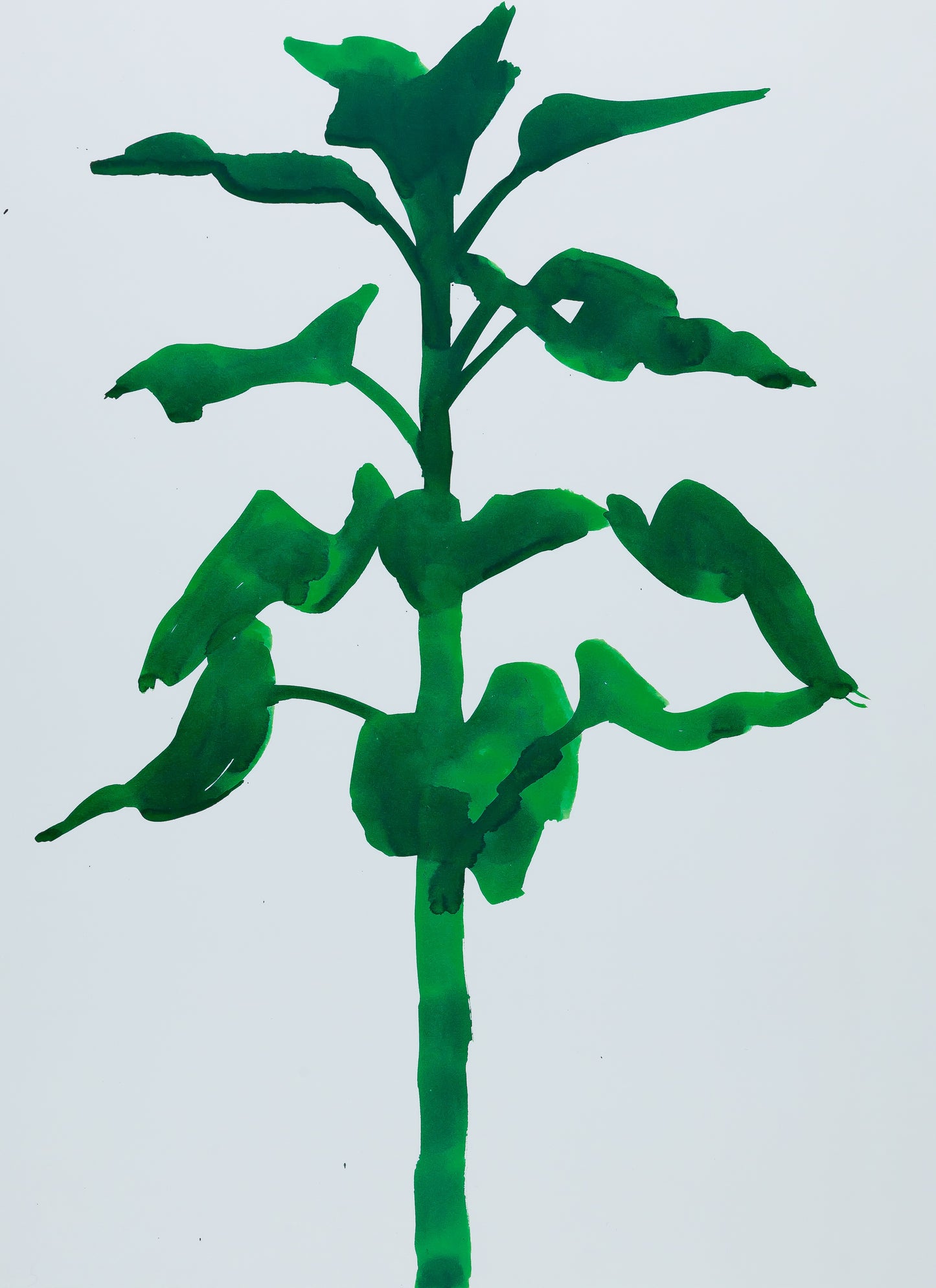 Ellsworth KELLY : Sunflower - Affiche originale en couleurs