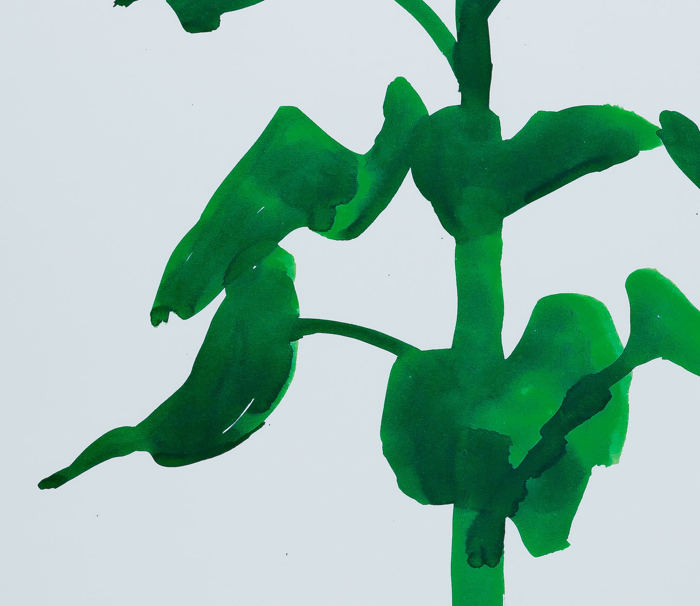 Ellsworth KELLY : Sunflower - Affiche originale en couleurs