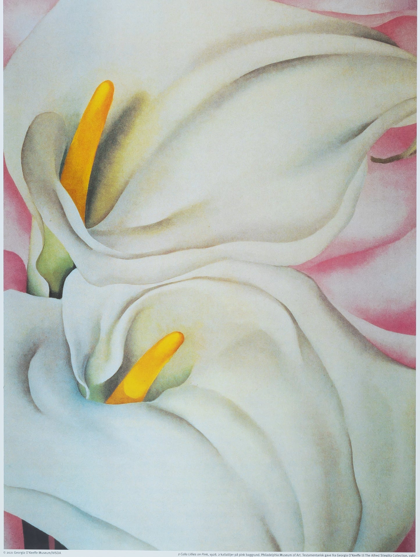 Georgia O'KEEFFE : Lillies on Pink - Affiche originale en couleurs
