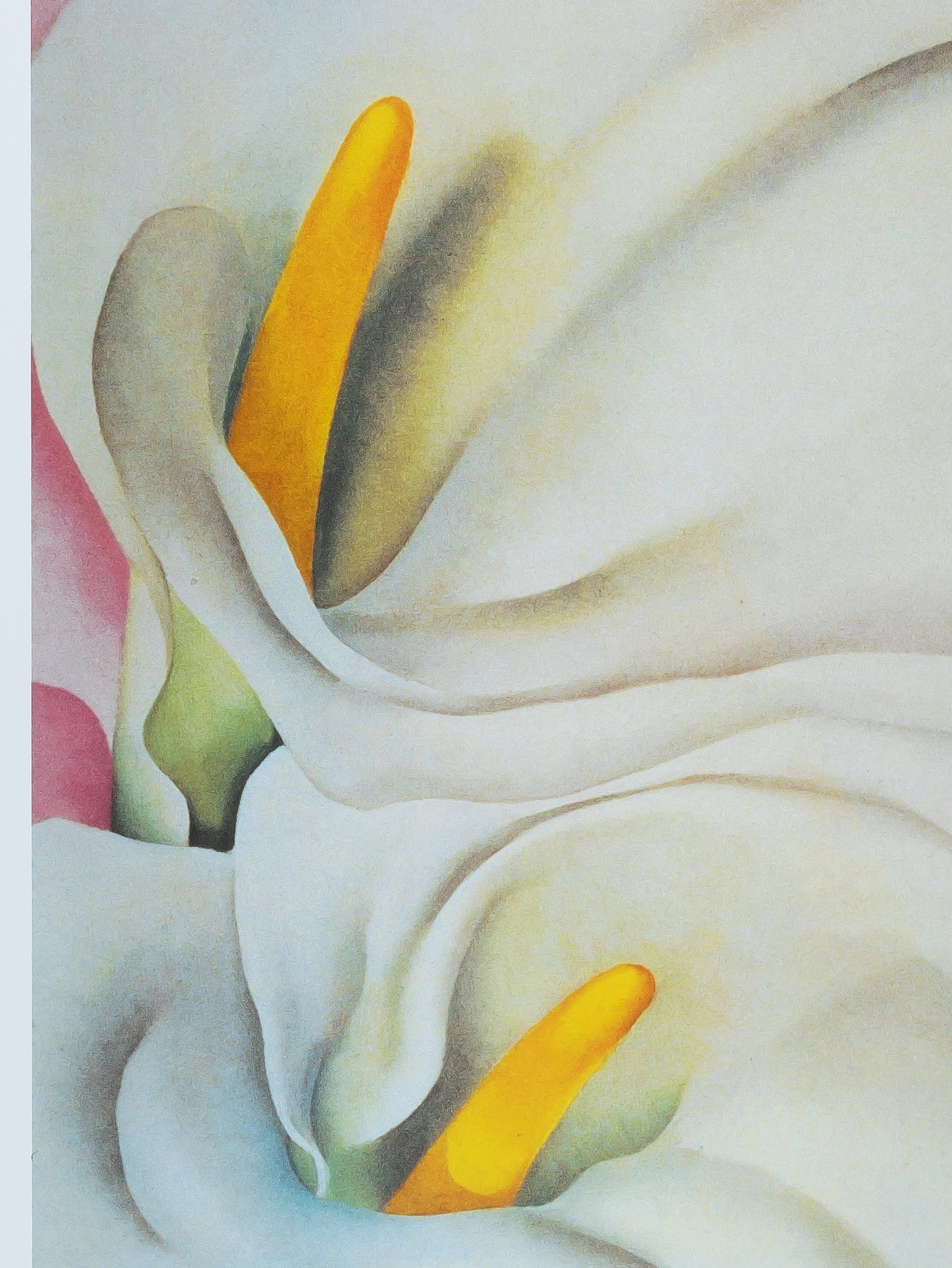 Georgia O'KEEFFE : Lillies on Pink - Affiche originale en couleurs