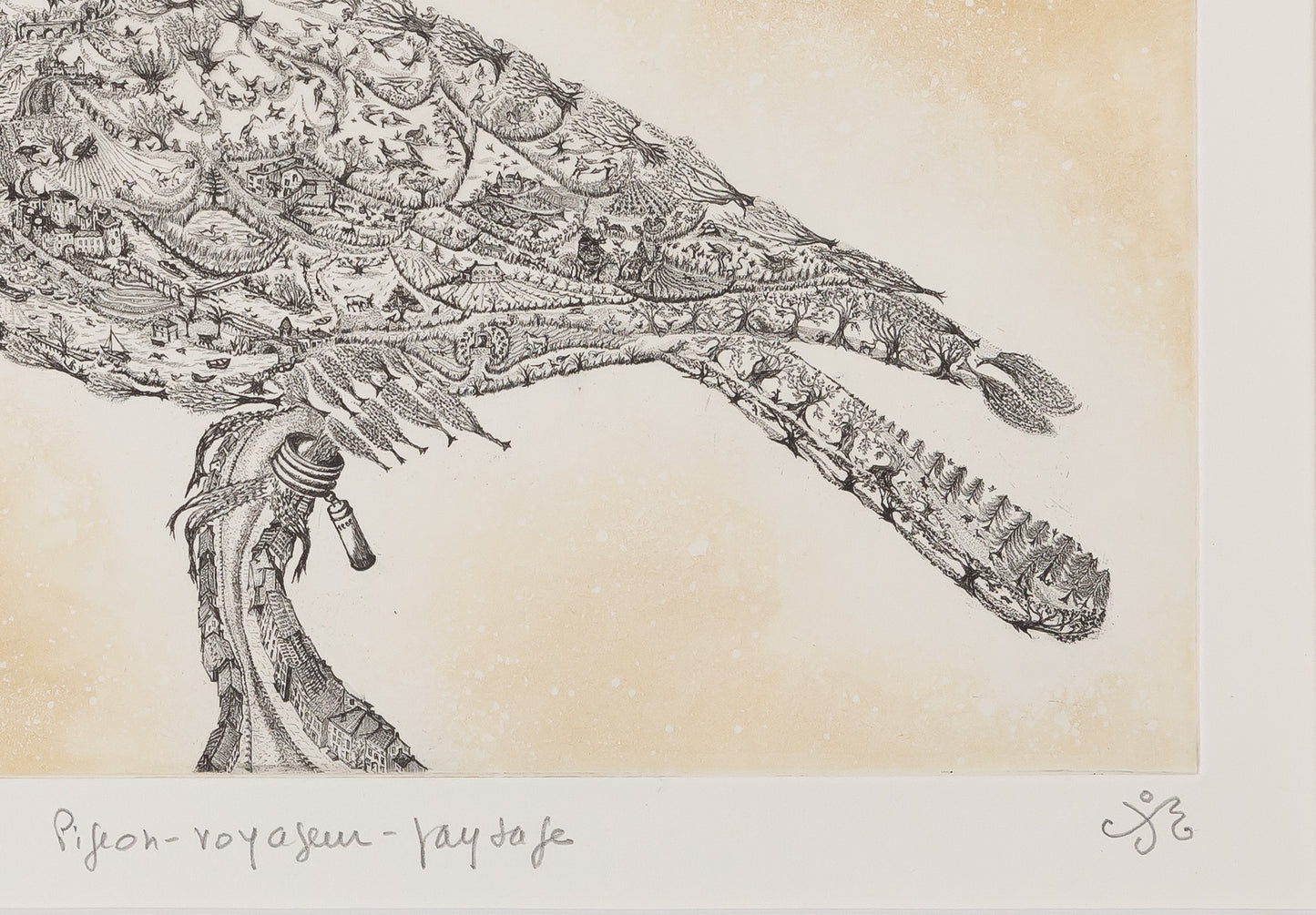 Maria PALETTA : Pigeon voyageur - Gravure originale signée