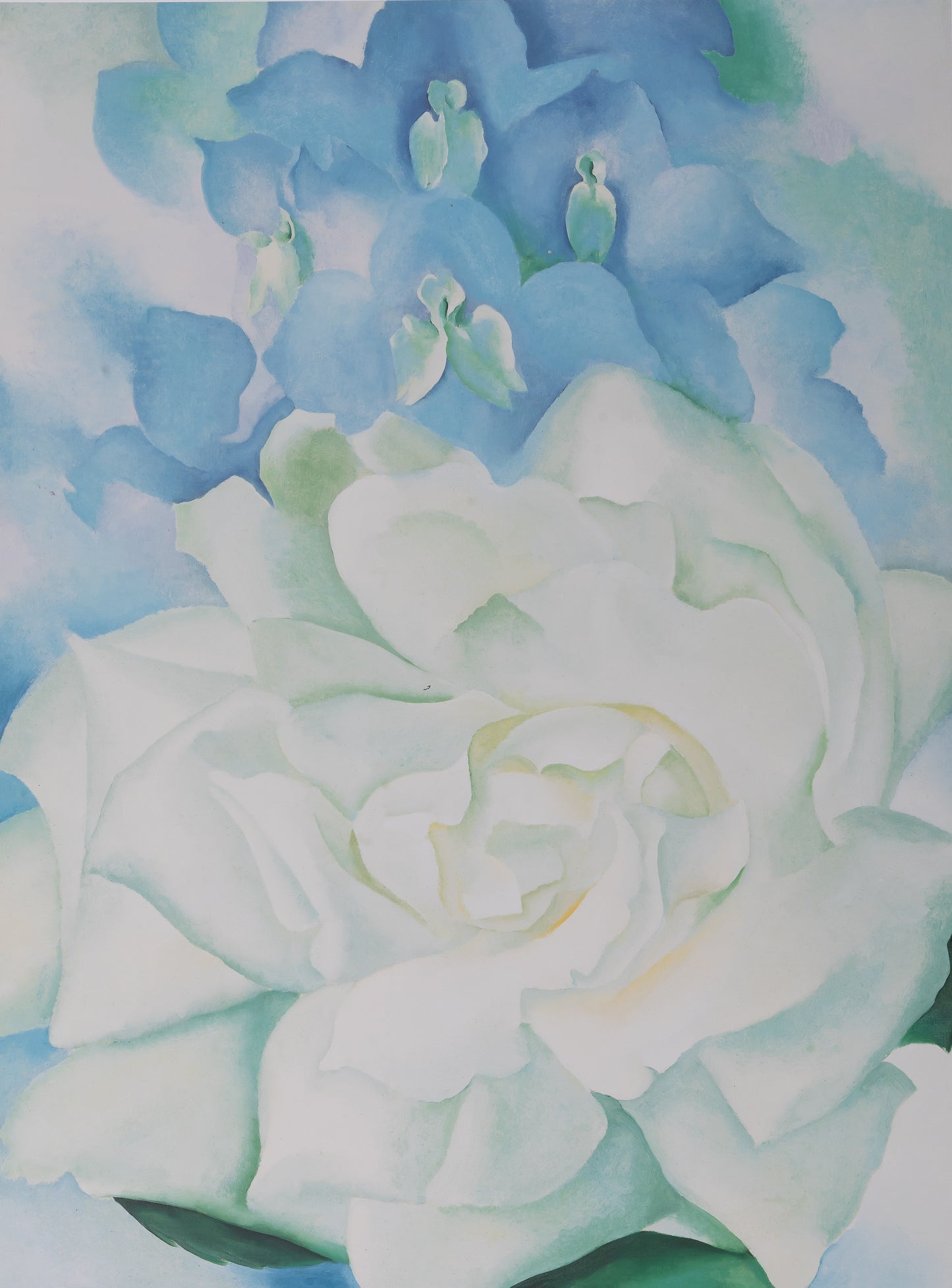 Georgia O'KEEFE : White rose with Larkspur - Affiche originale