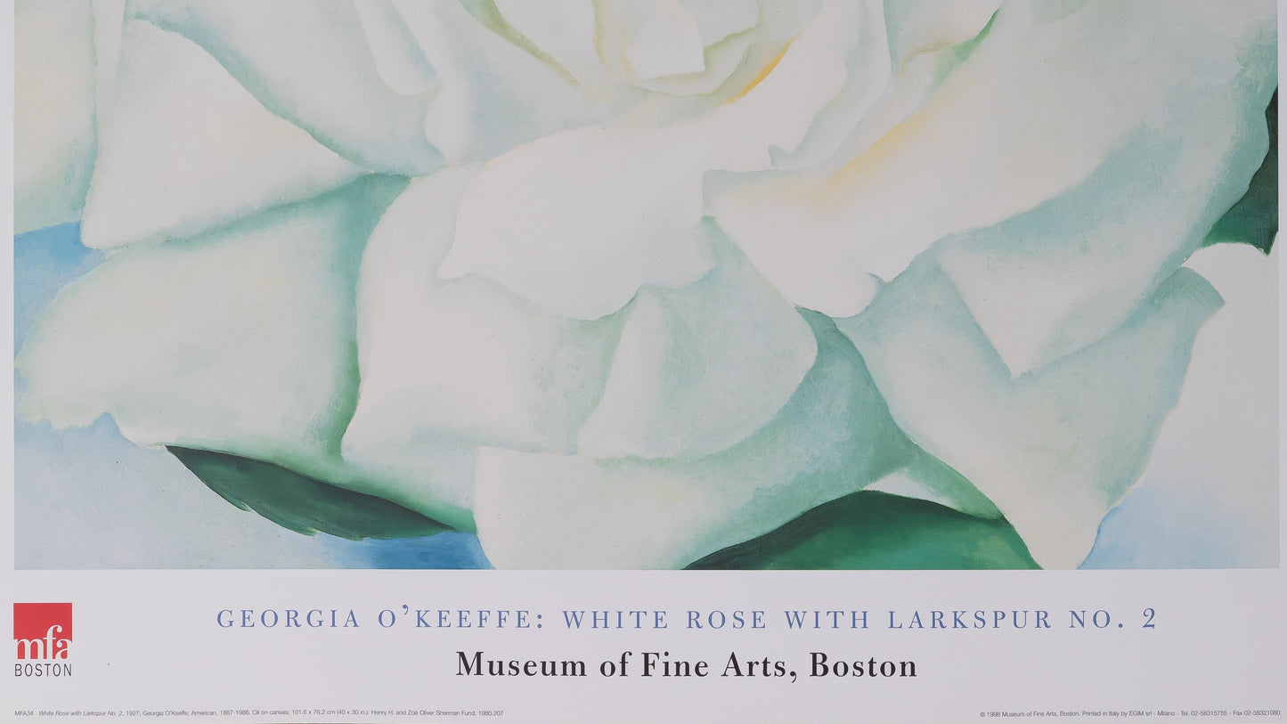 Georgia O'KEEFE : White rose with Larkspur - Affiche originale