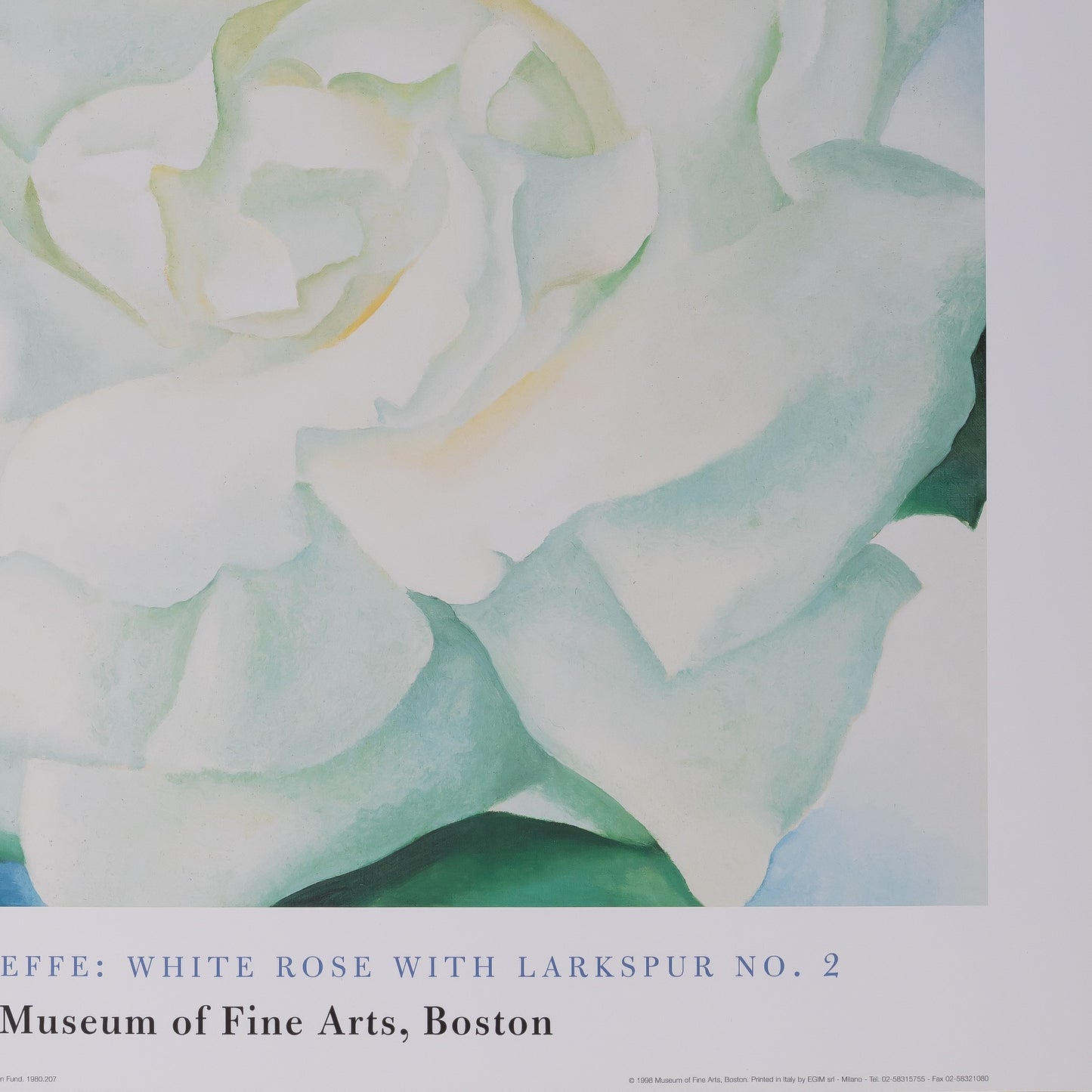 Georgia O'KEEFE : White rose with Larkspur - Affiche originale