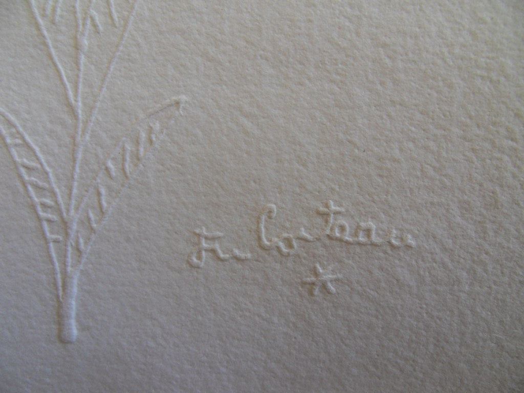 Jean COCTEAU : Profil fleuri - Gravure signée