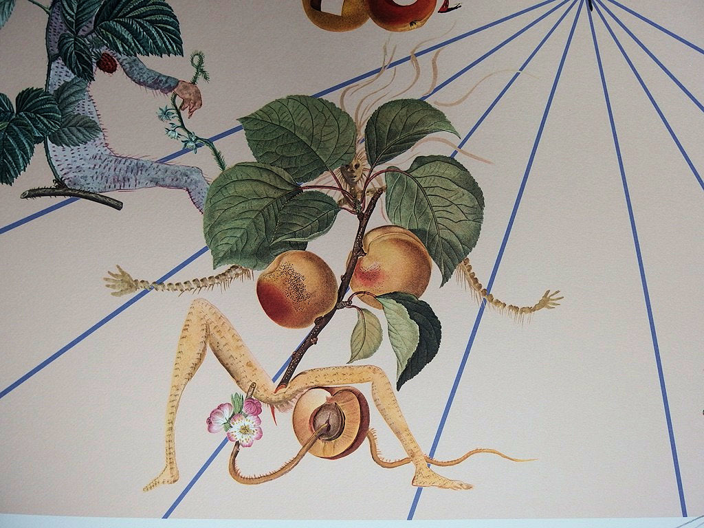 Salvador DALI : Flordali II, La rose papillon - Lithographie originale signée