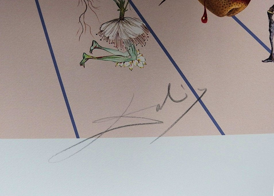 Salvador DALI : Flordali II, La rose papillon - Lithographie originale signée