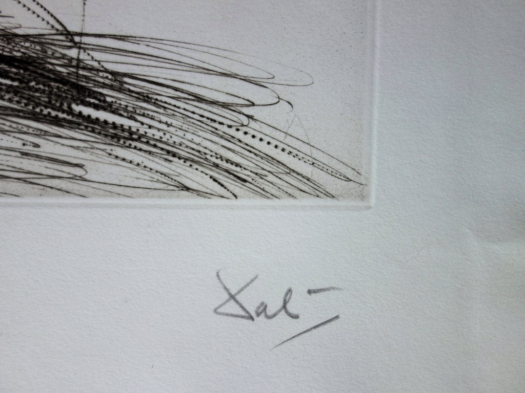 Salvador DALI : Telegraph Hill - Gravure originale signée