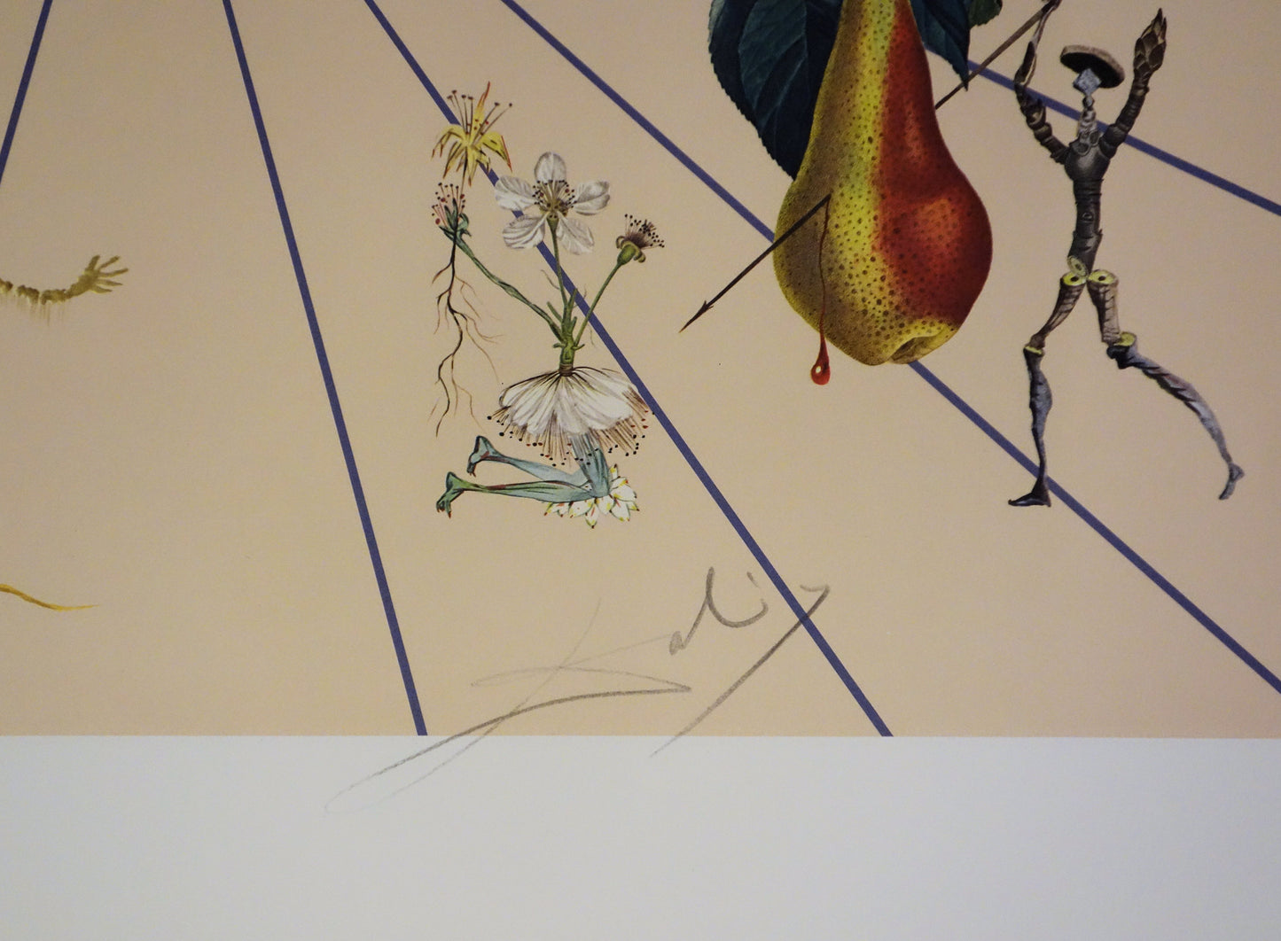 Salvador DALI : Flordali II - Lithographie originale signée