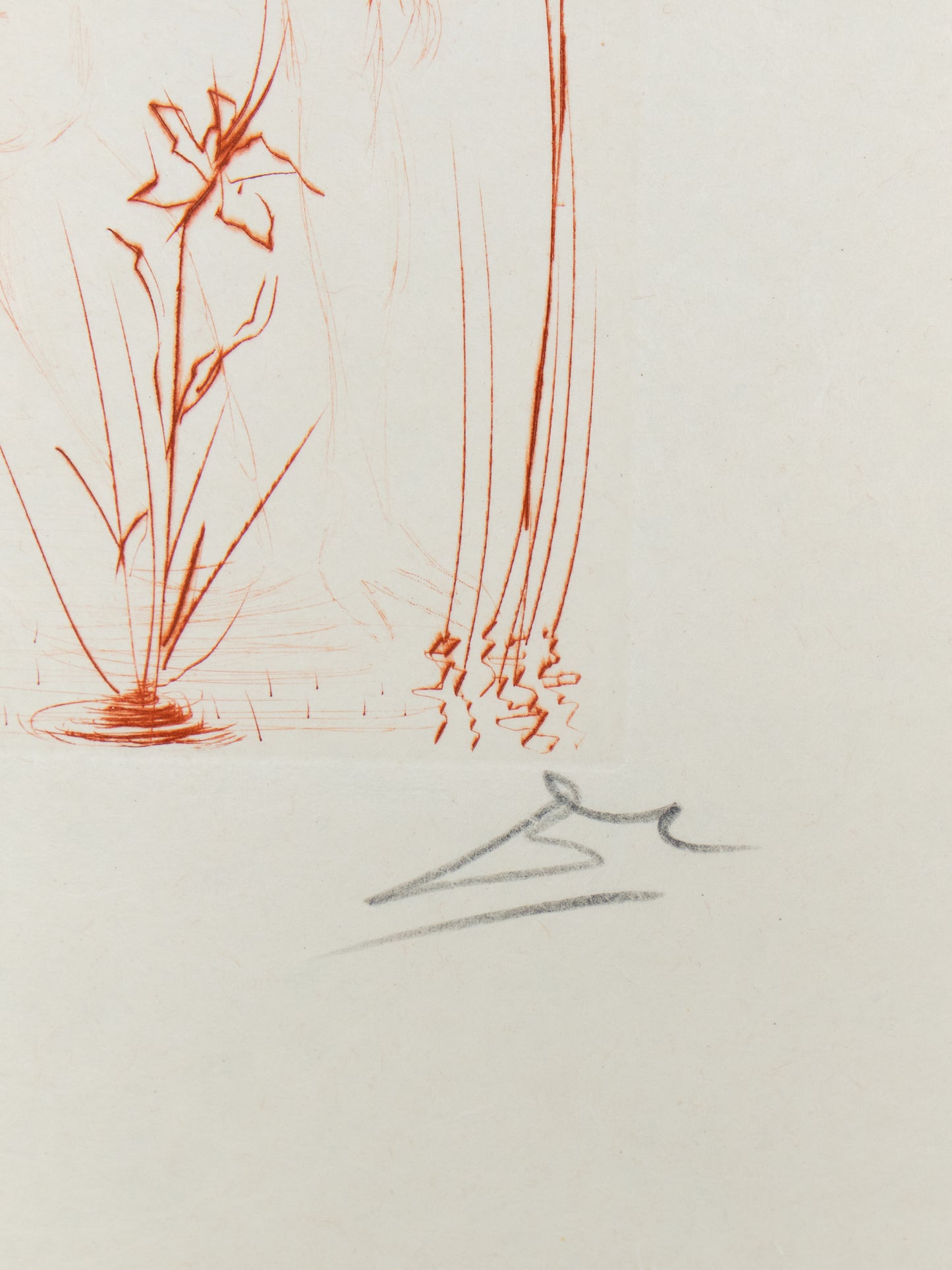 Salvador DALI : Narcisse - Gravure originale signée
