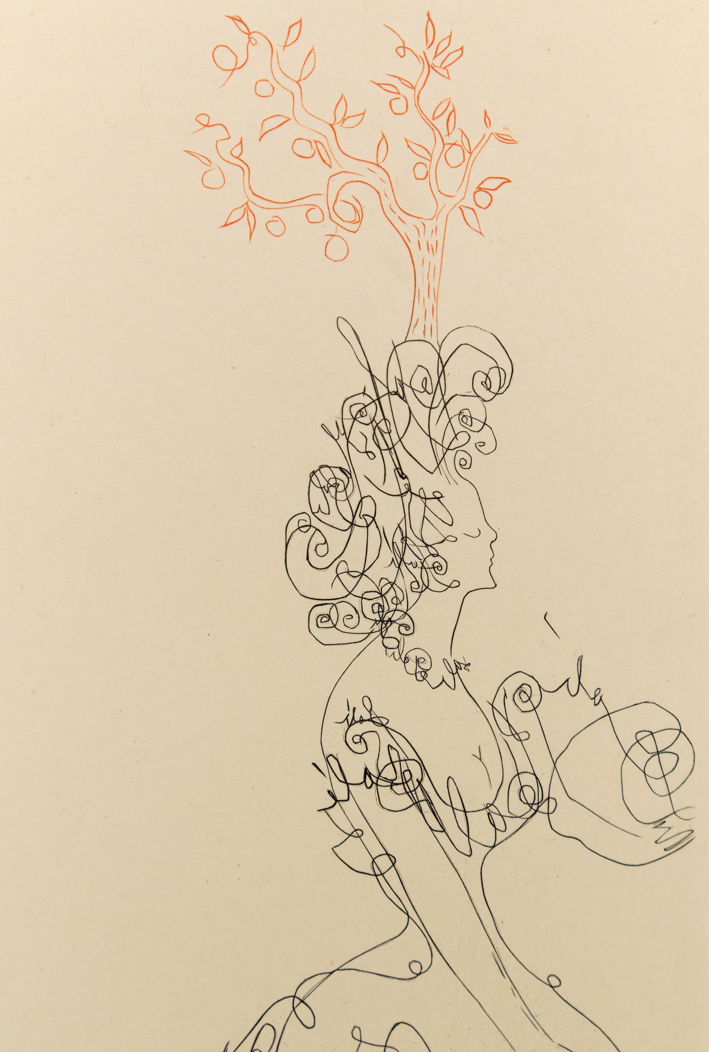 Salvador DALI : La Dame de l'Orangerie - Gravure originale signée