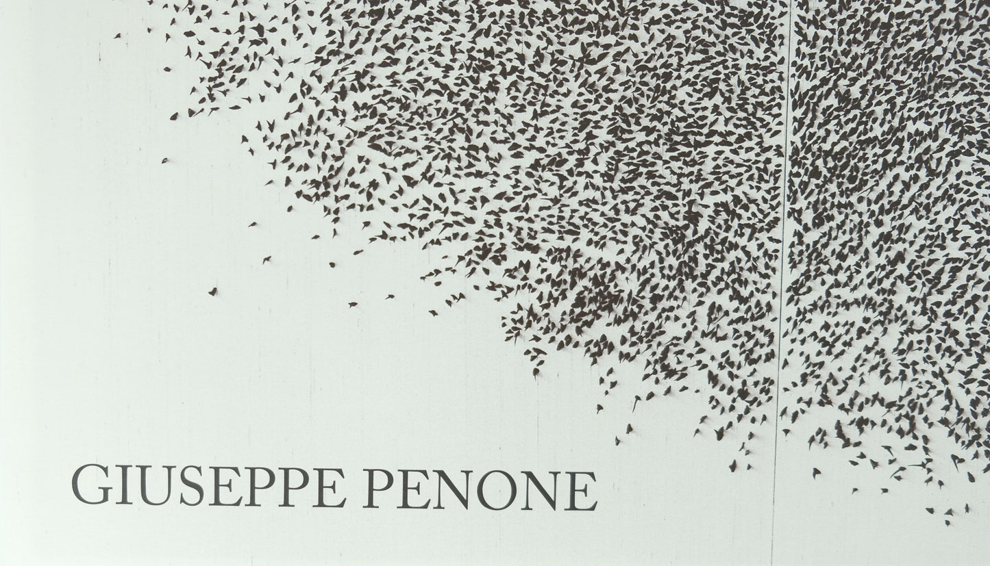 Giuseppe PENONE : Sguardo Incrociato - Affiche originale