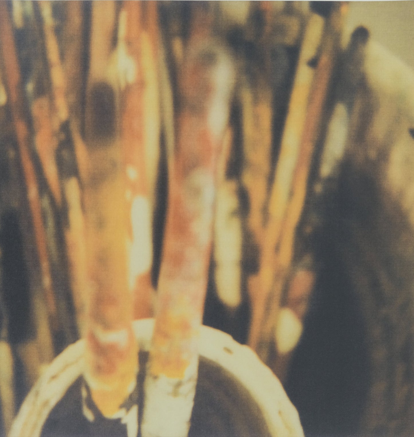 Cy TWOMBLY : Pinceaux - Affiche originale