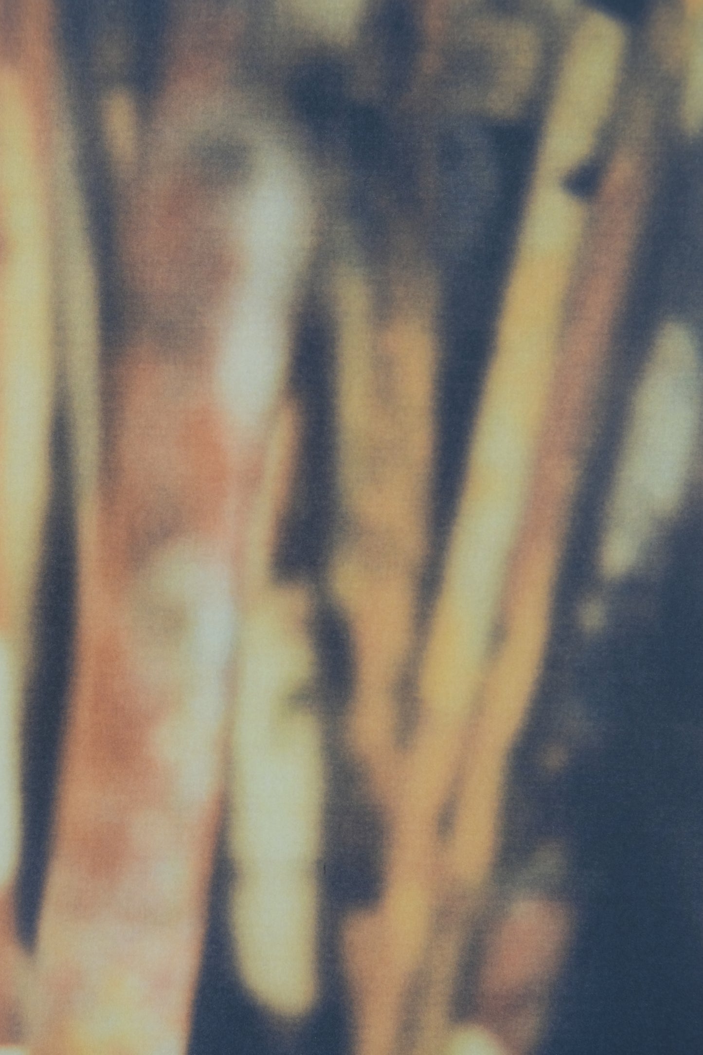 Cy TWOMBLY : Pinceaux - Affiche originale