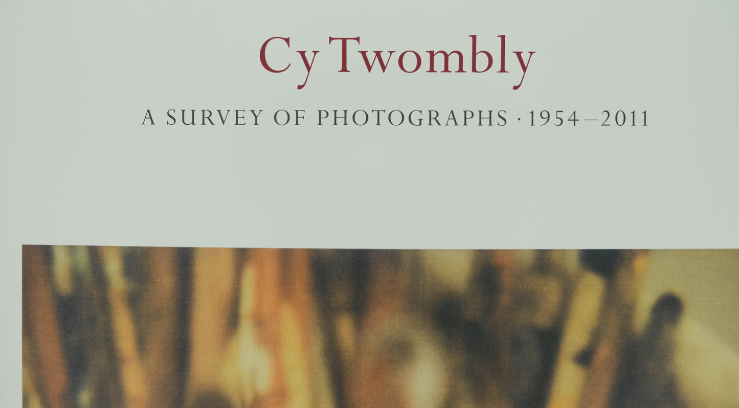 Cy TWOMBLY : Pinceaux - Affiche originale