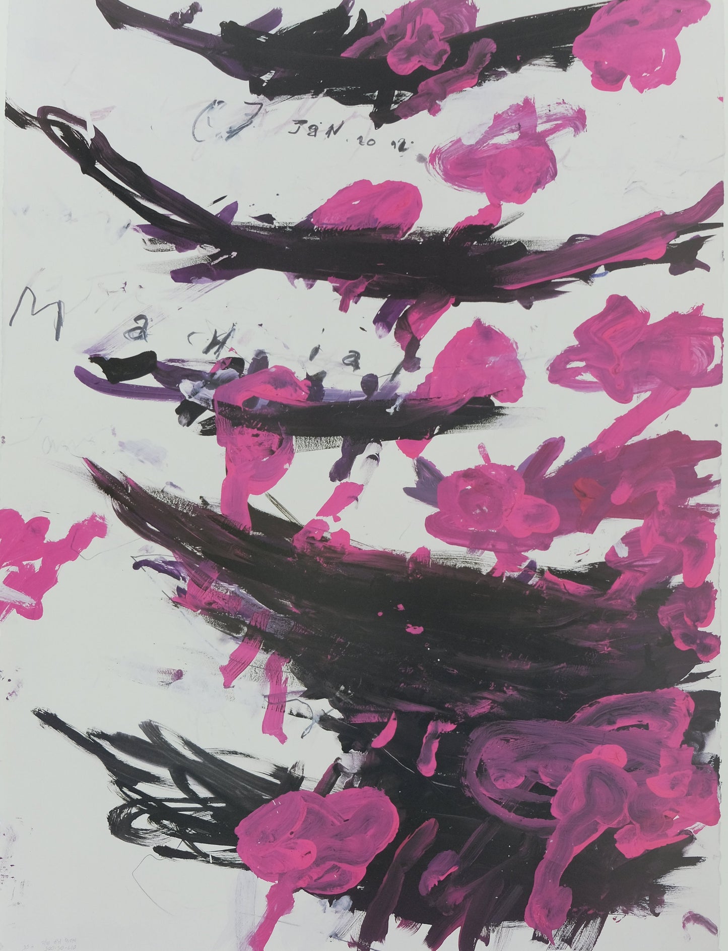 Cy TWOMBLY : Naumackia - Affiche originale