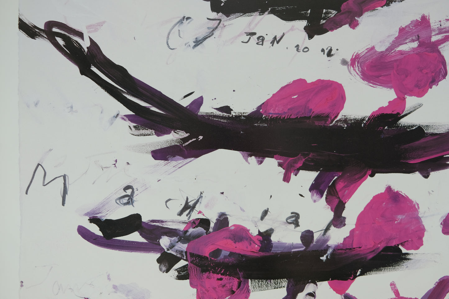 Cy TWOMBLY : Naumackia - Affiche originale