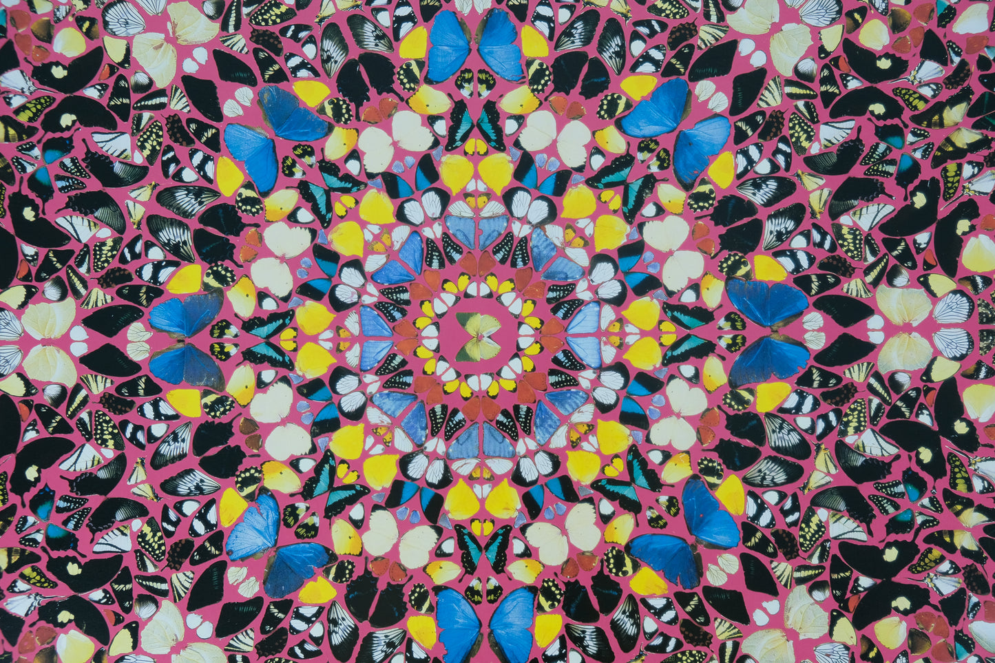 Damien HIRST : Superstition - Affiche originale