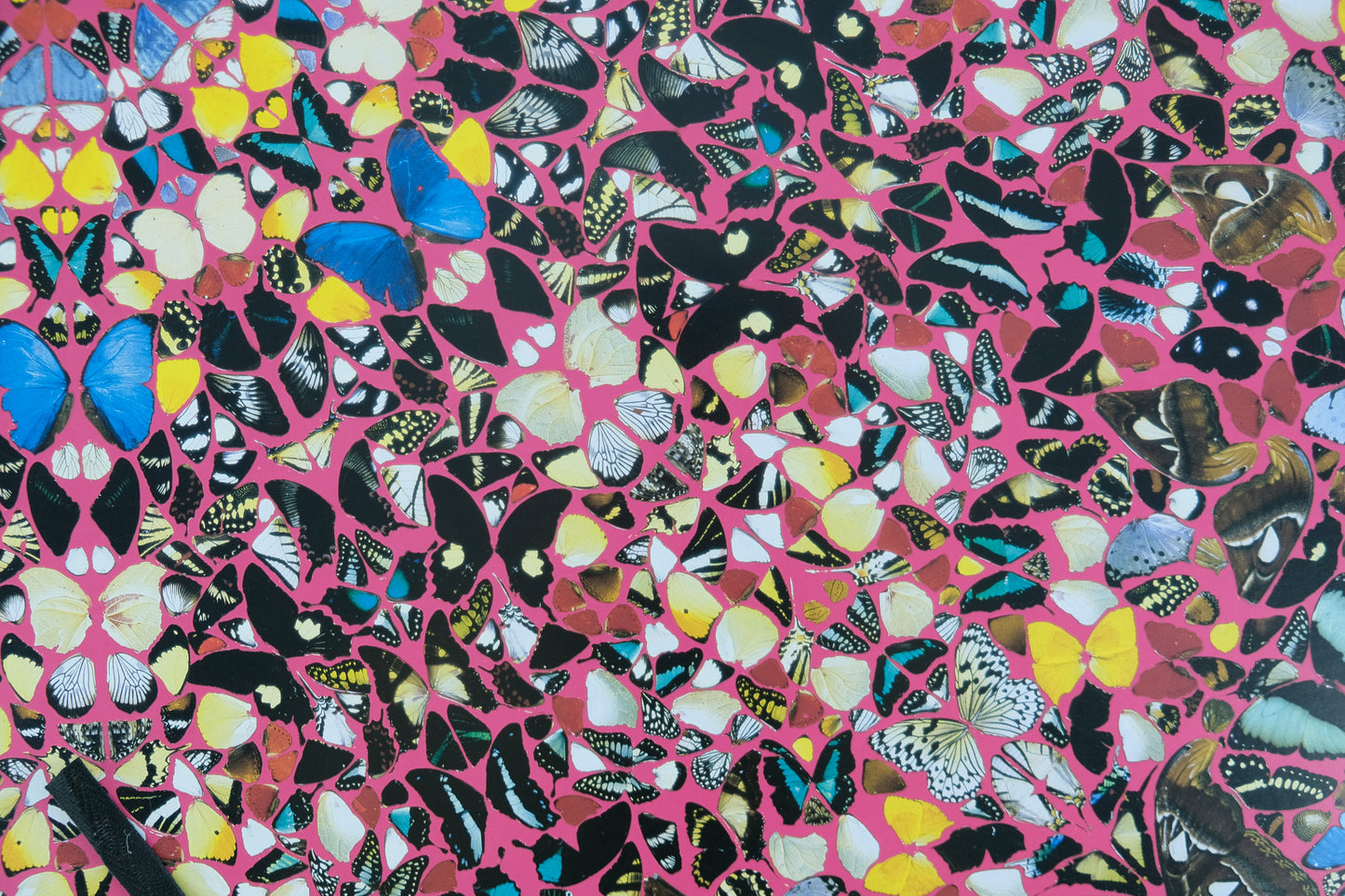 Damien HIRST : Superstition - Affiche originale