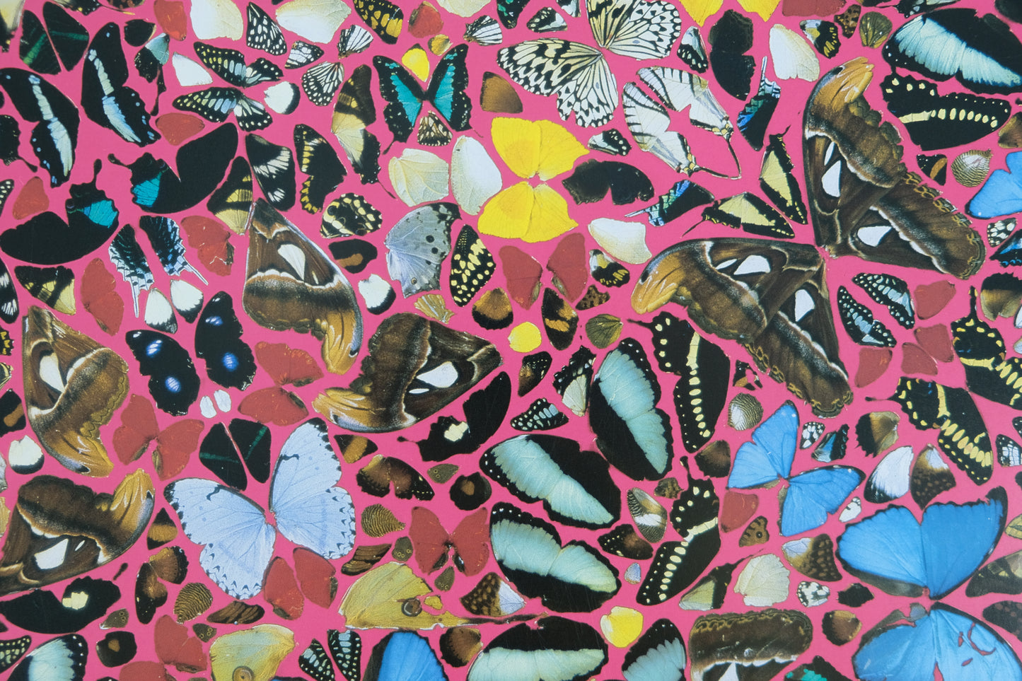 Damien HIRST : Superstition - Affiche originale