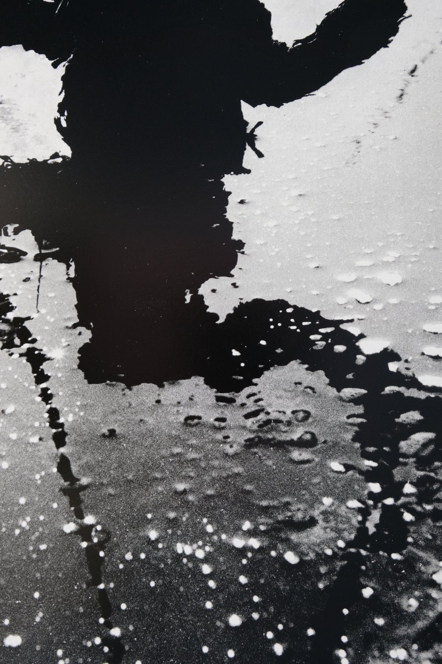 Lucien CLERGUE : Albaron - Héliogravure originale signée