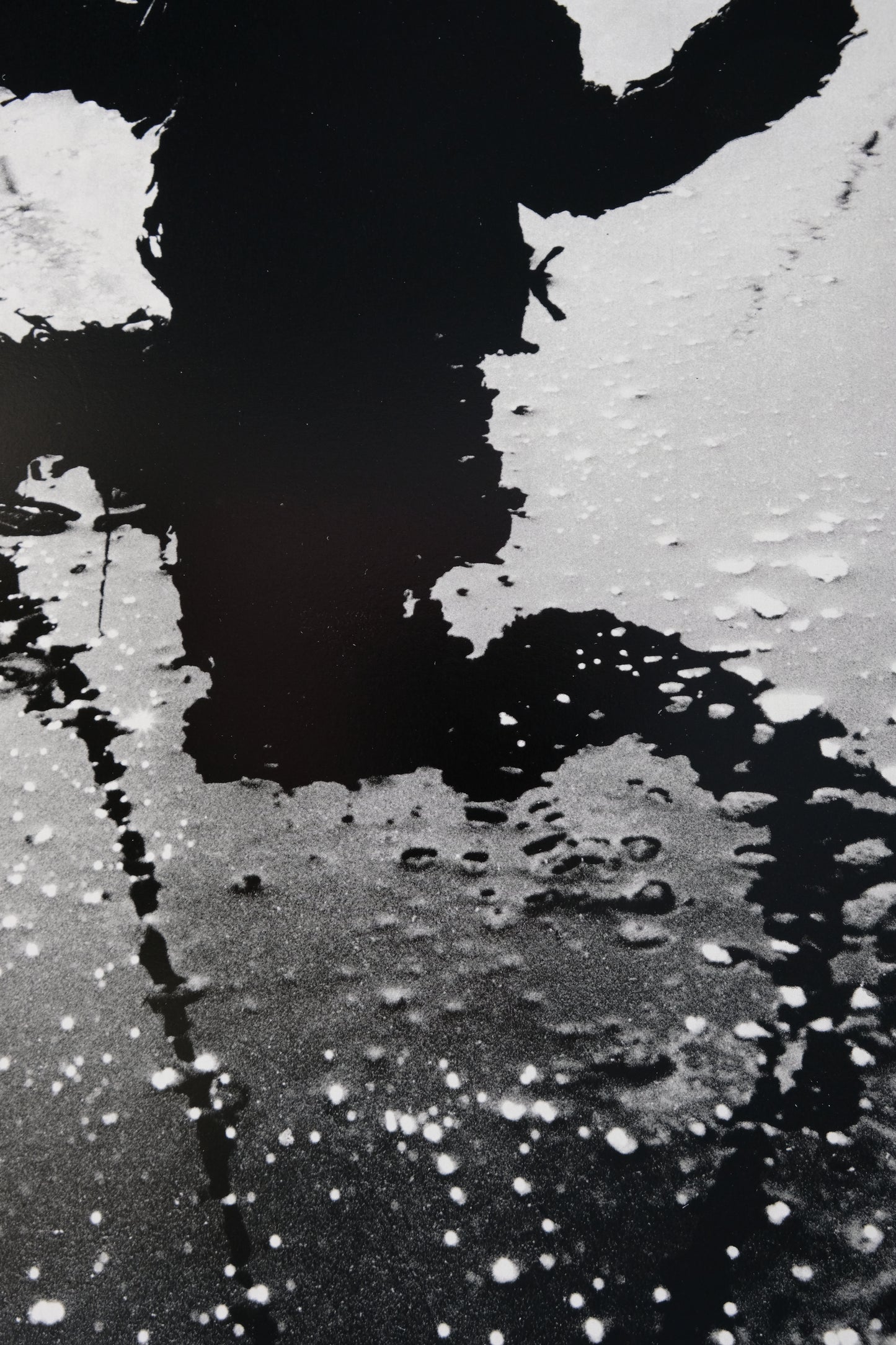 Lucien CLERGUE : Albaron - Héliogravure originale signée