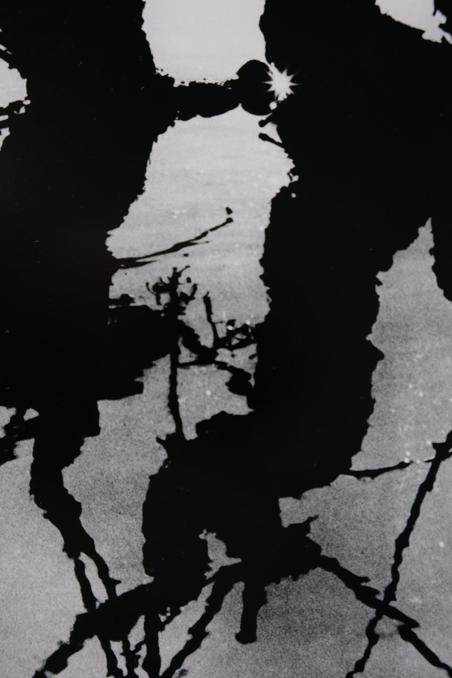 Lucien CLERGUE : Le Marais d'Arles - Héliogravure originale signée