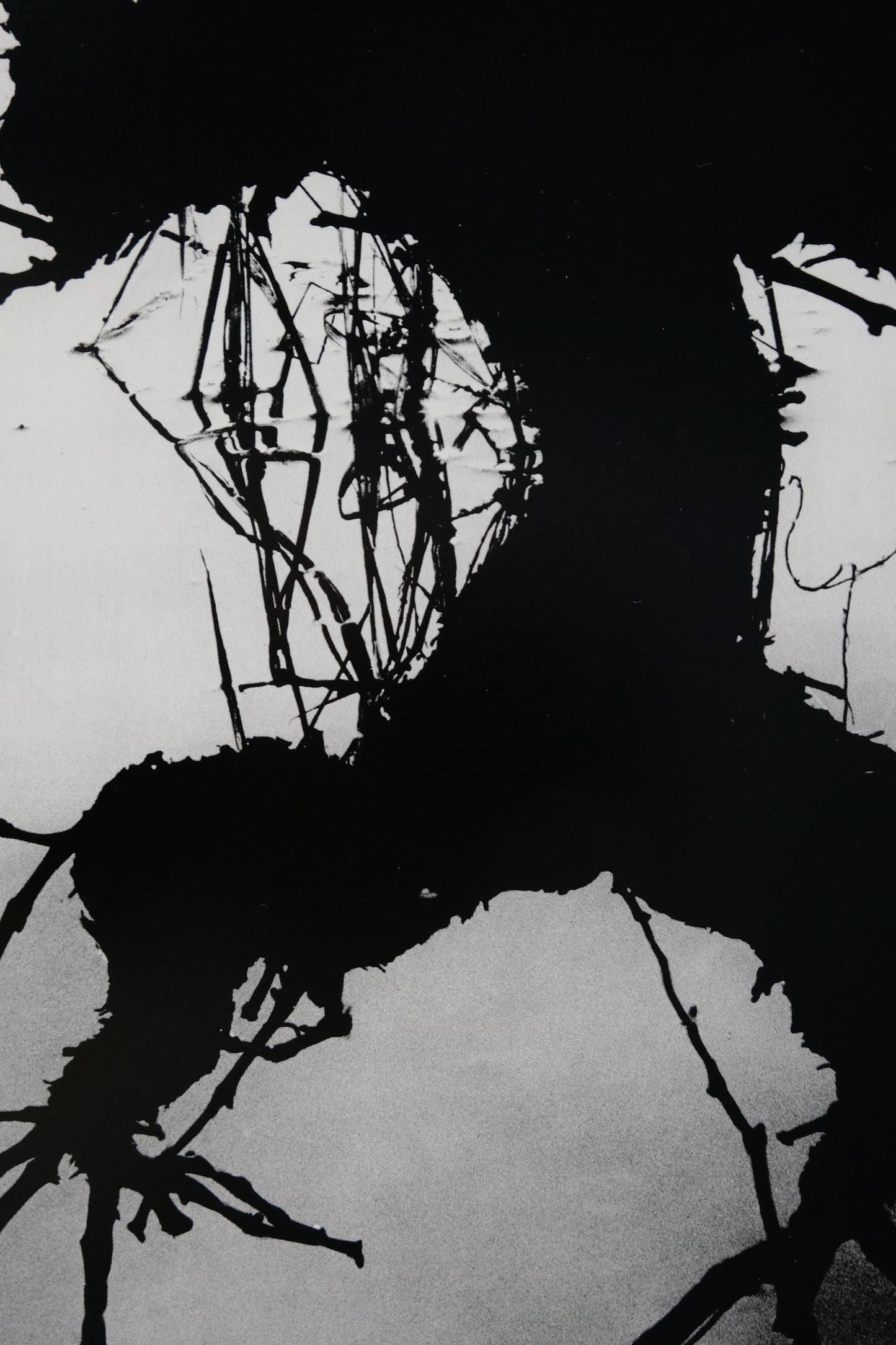 Lucien CLERGUE : Camargue secrète - Héliogravure originale signée