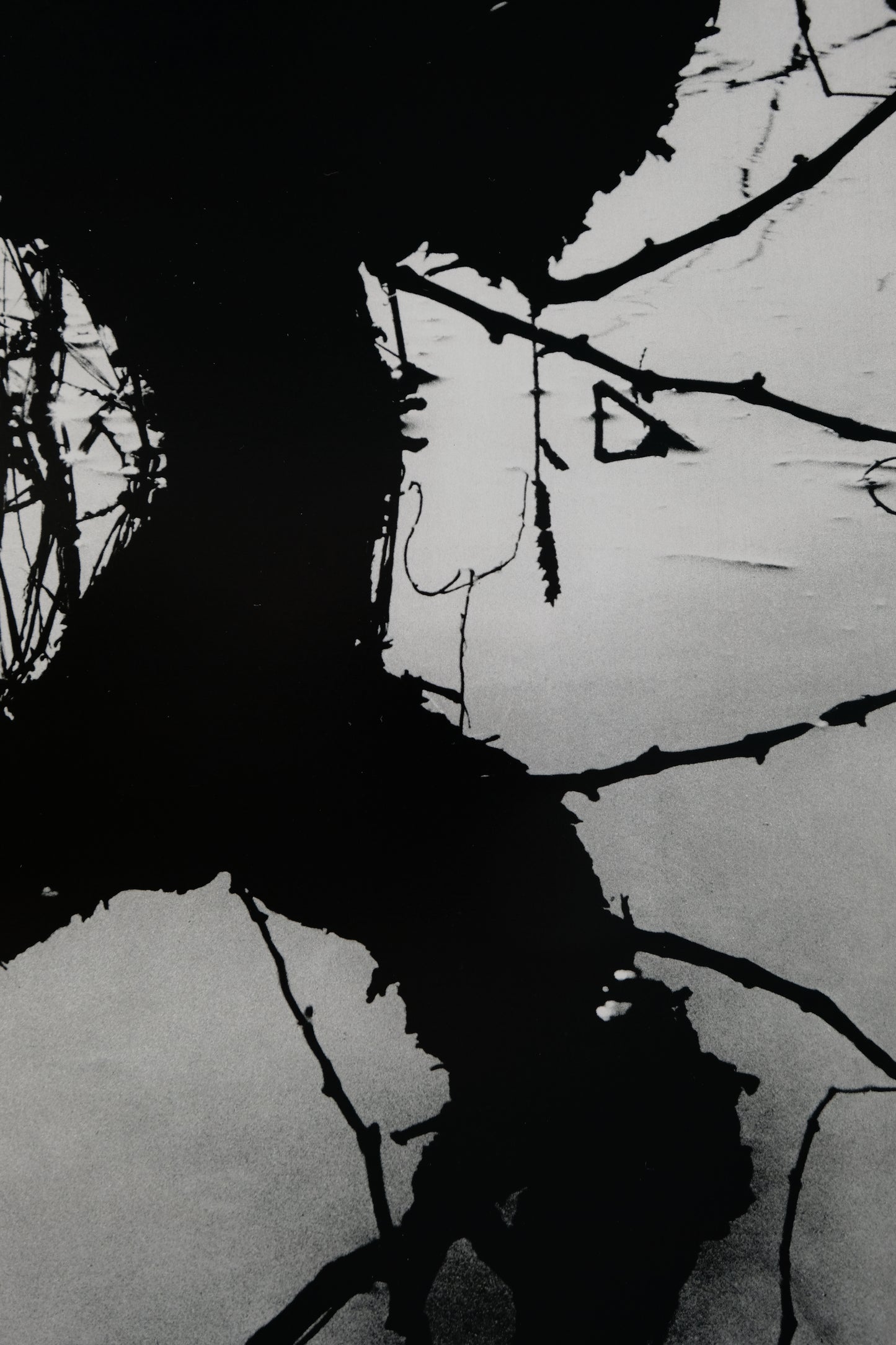 Lucien CLERGUE : Camargue secrète - Héliogravure originale signée