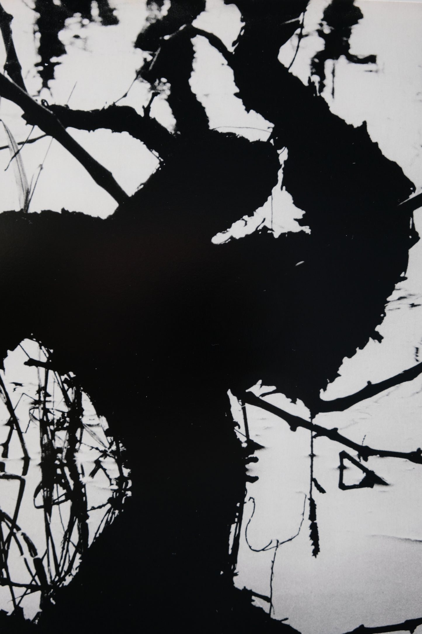 Lucien CLERGUE : Camargue secrète - Héliogravure originale signée
