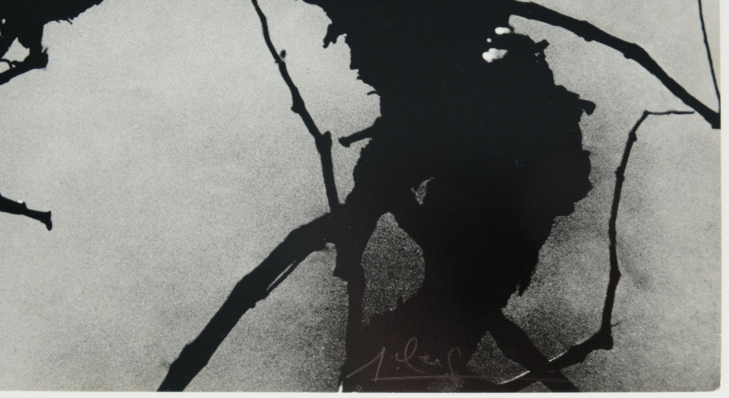 Lucien CLERGUE : Camargue secrète - Héliogravure originale signée
