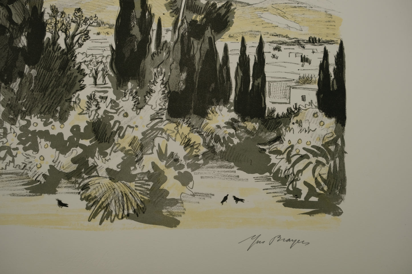 Yves BRAYER : Jardin à Chiraz - Lithographie originale signée