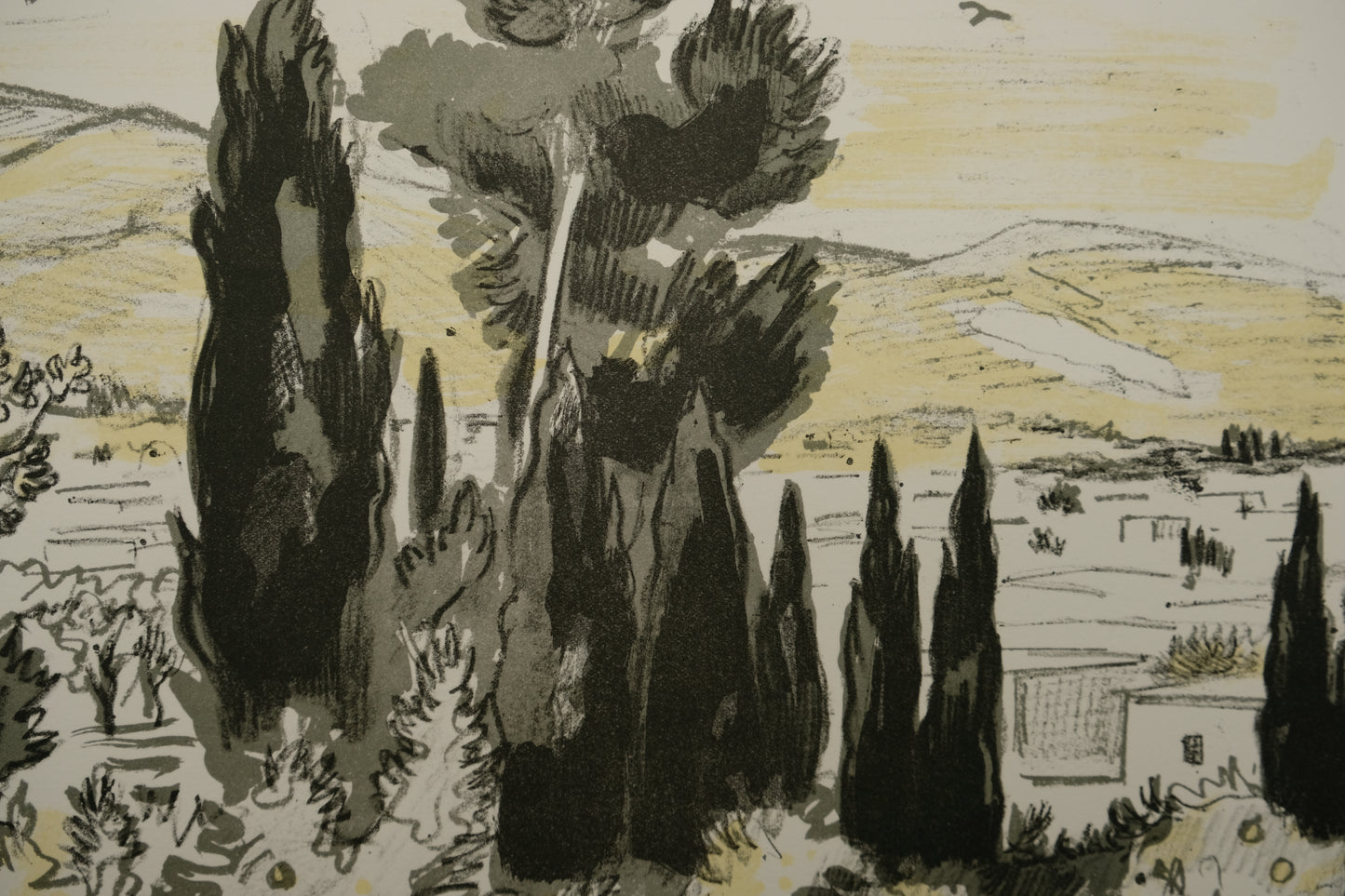 Yves BRAYER : Jardin à Chiraz - Lithographie originale signée