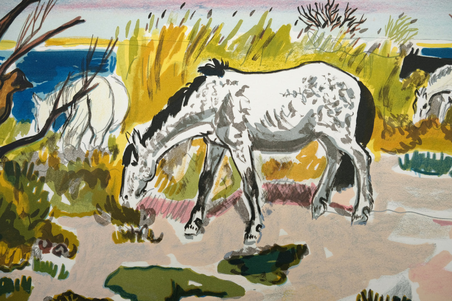 Yves BRAYER : Cheval au bord de l'étang - Lithographie originale signée