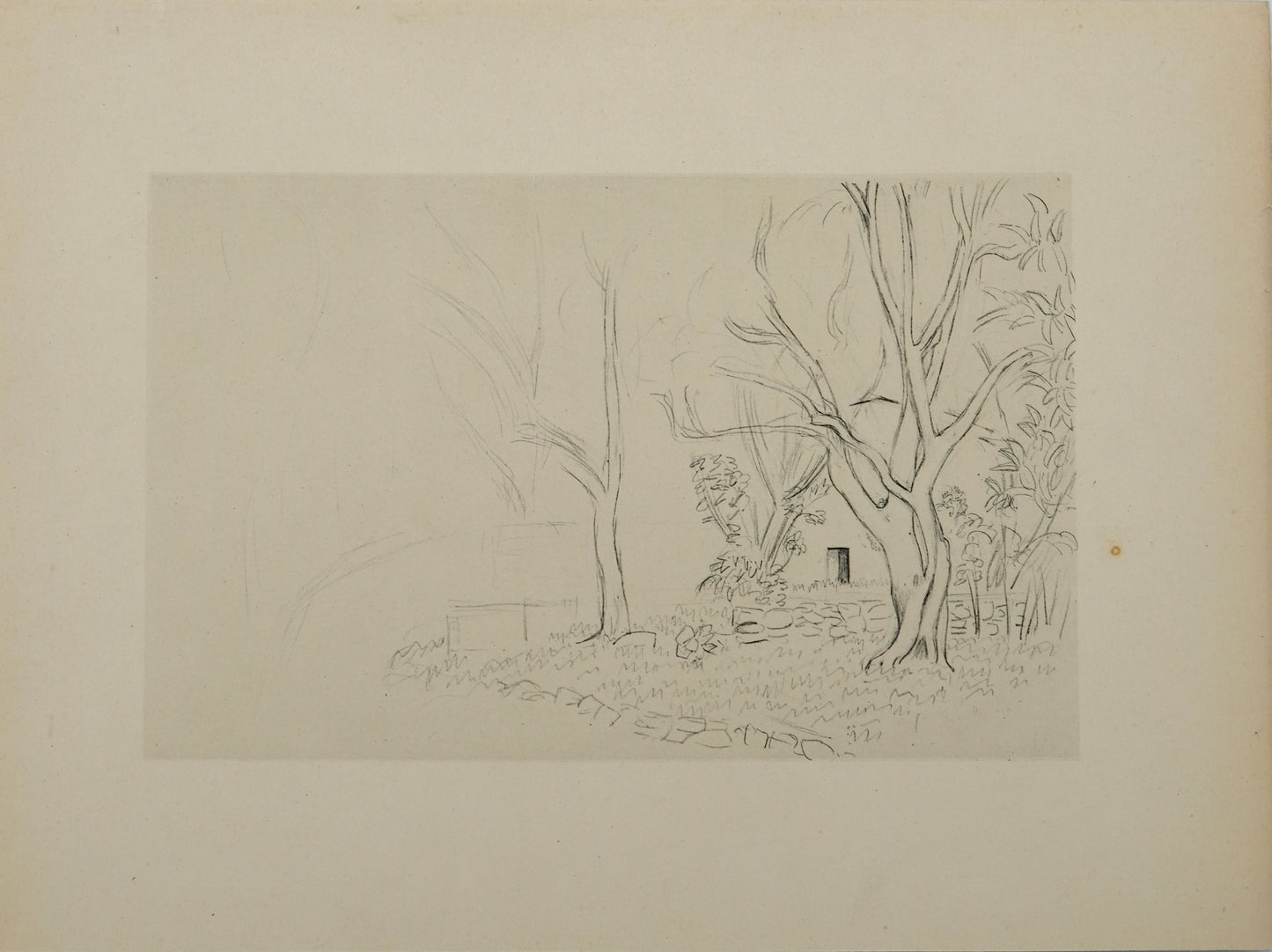 Henri MATISSE : Jardin en Provence - Lithographie