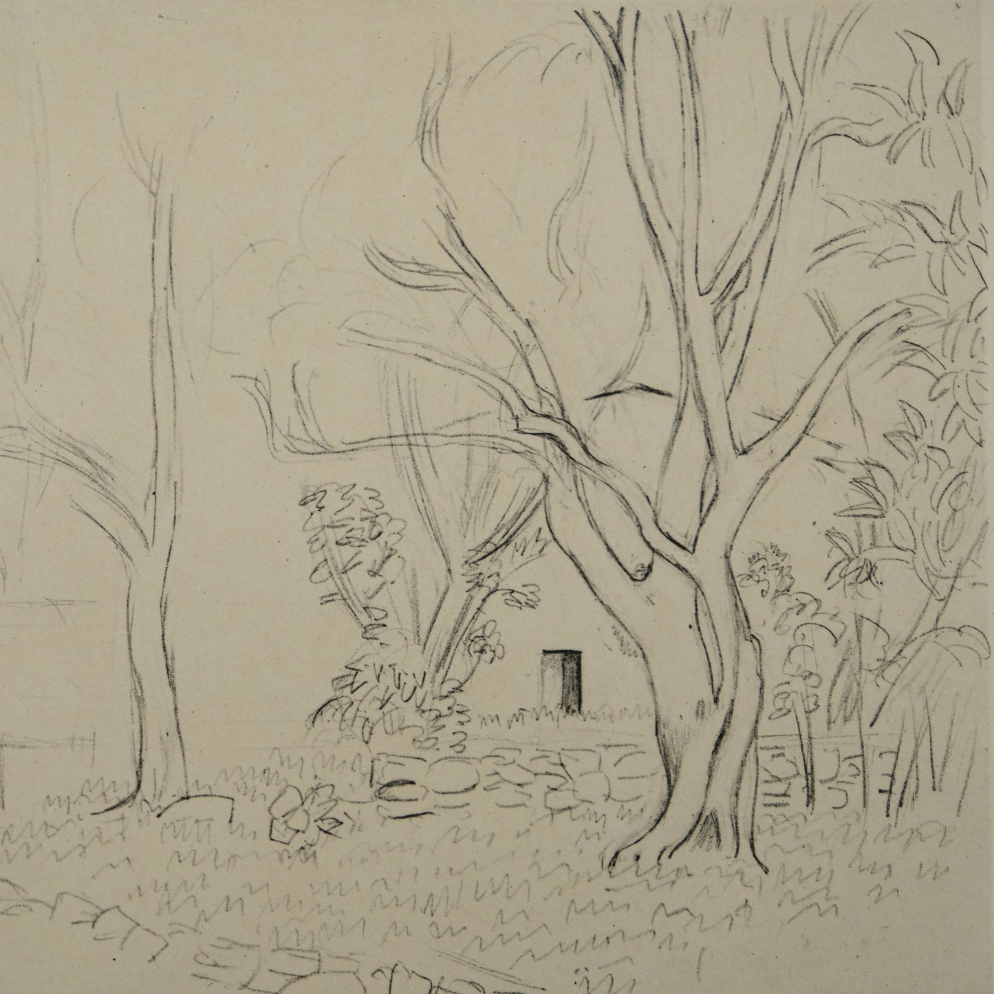 Henri MATISSE : Jardin en Provence - Lithographie