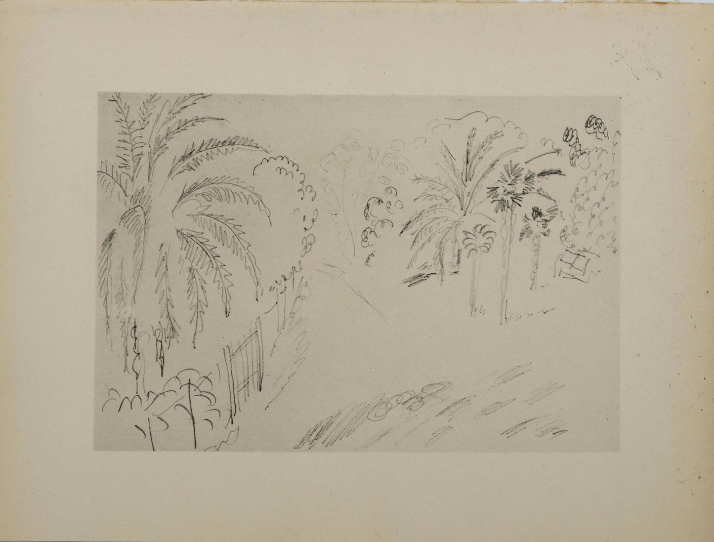 Henri MATISSE : Jardin luxuriant - Lithographie