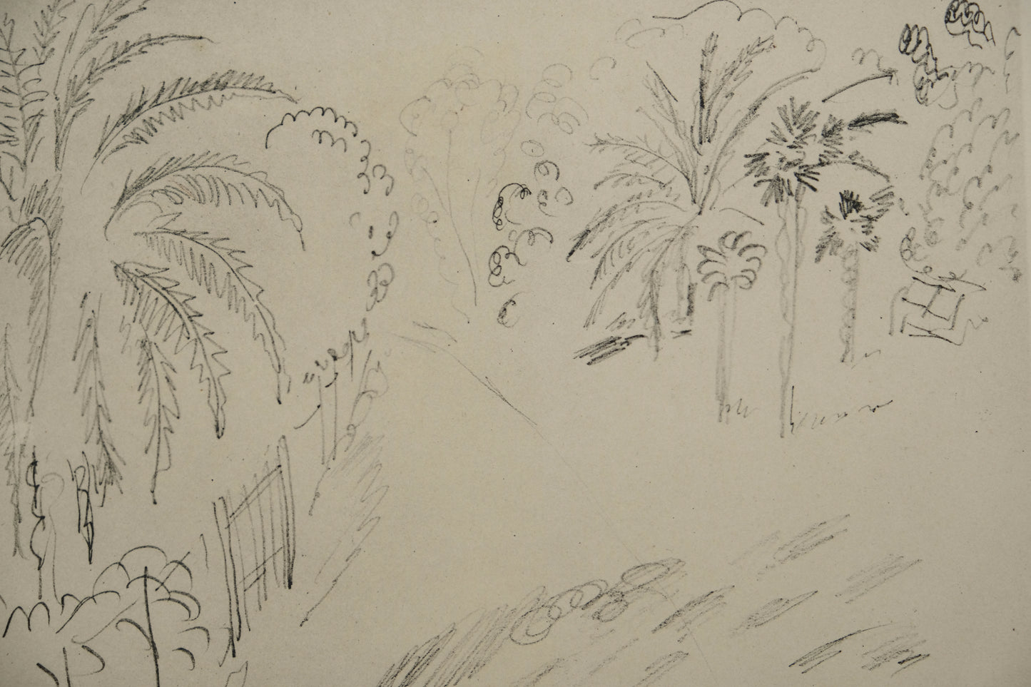 Henri MATISSE : Jardin luxuriant - Lithographie