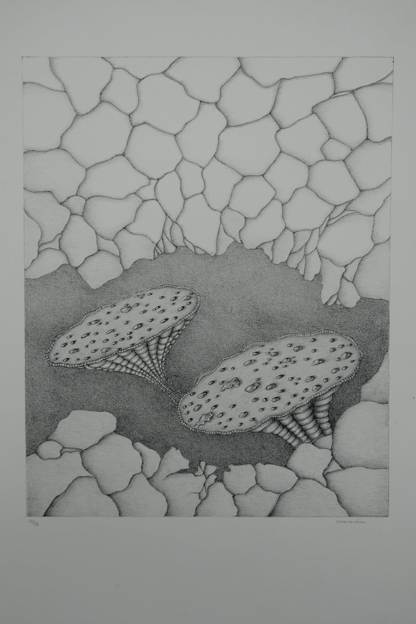 Gochka CHAREWICZ : Harmonia - Lithographie originale signée