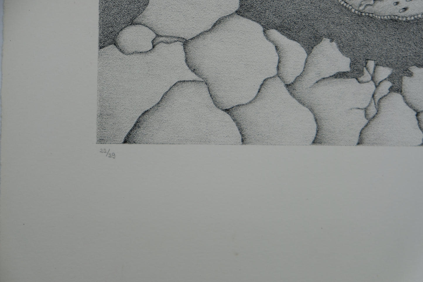 Gochka CHAREWICZ : Harmonia - Lithographie originale signée