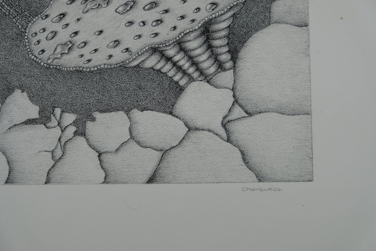 Gochka CHAREWICZ : Harmonia - Lithographie originale signée