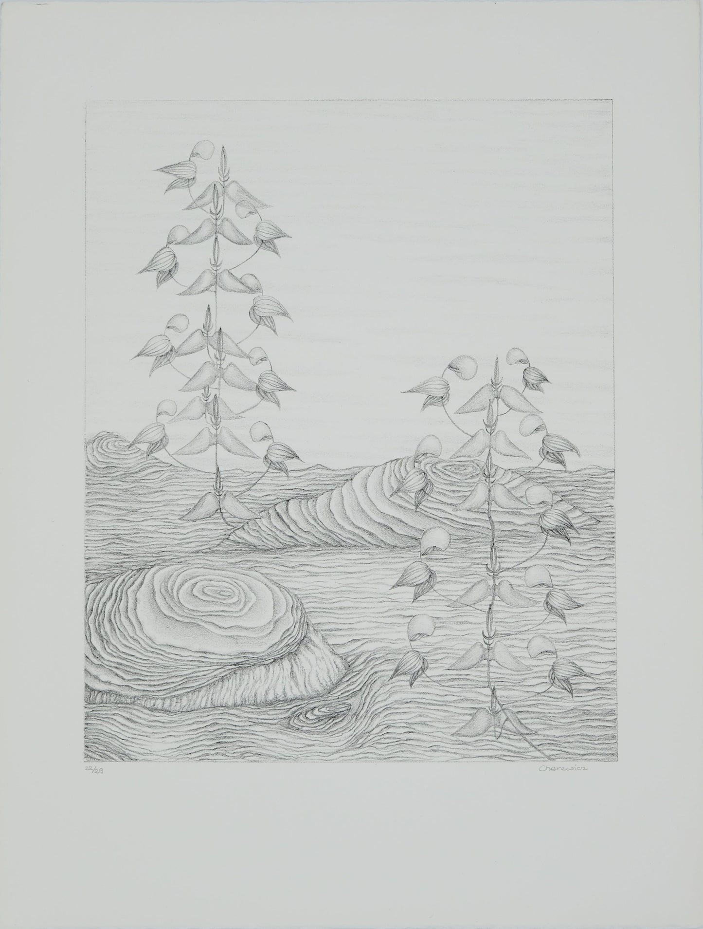 Gochka CHAREWICZ : Fleurs en cloche - Lithographie originale signée