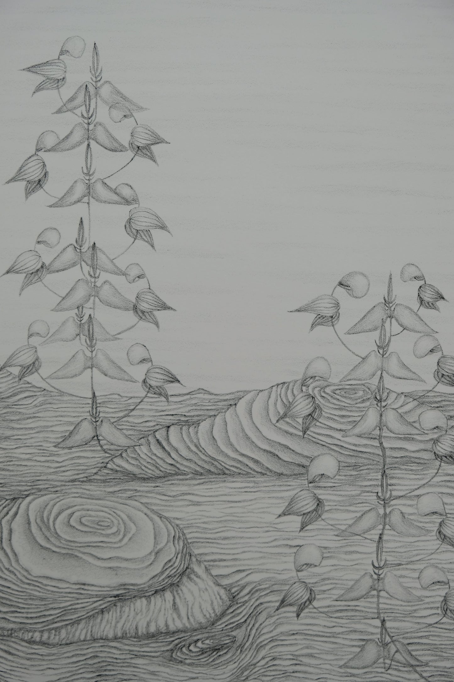Gochka CHAREWICZ : Fleurs en cloche - Lithographie originale signée