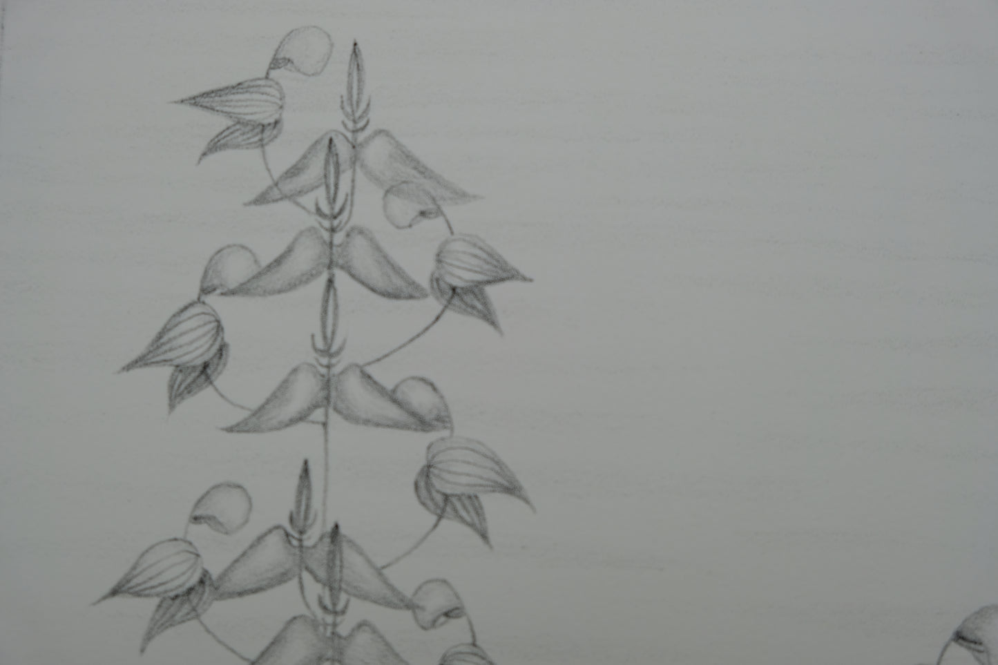 Gochka CHAREWICZ : Fleurs en cloche - Lithographie originale signée