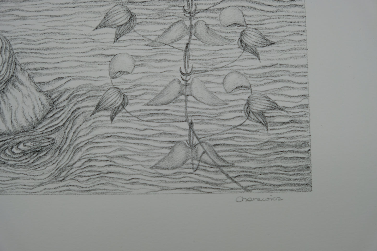 Gochka CHAREWICZ : Fleurs en cloche - Lithographie originale signée