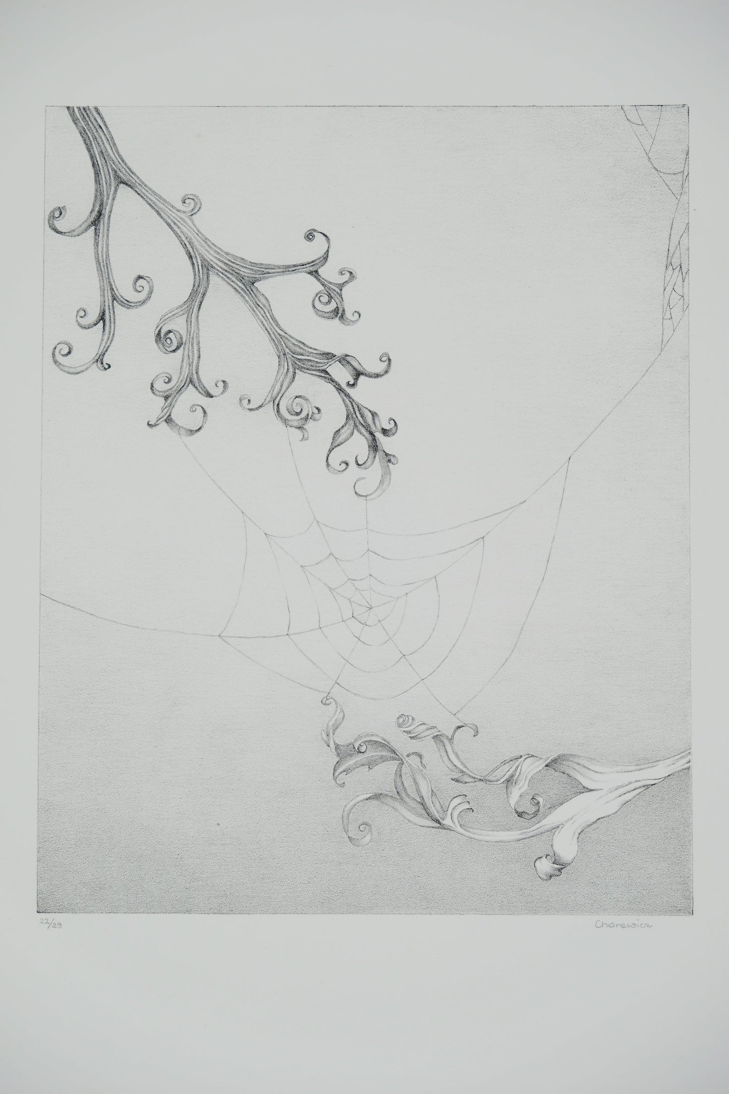 Gochka CHAREWICZ : Toile d'araignée - Lithographie originale signée