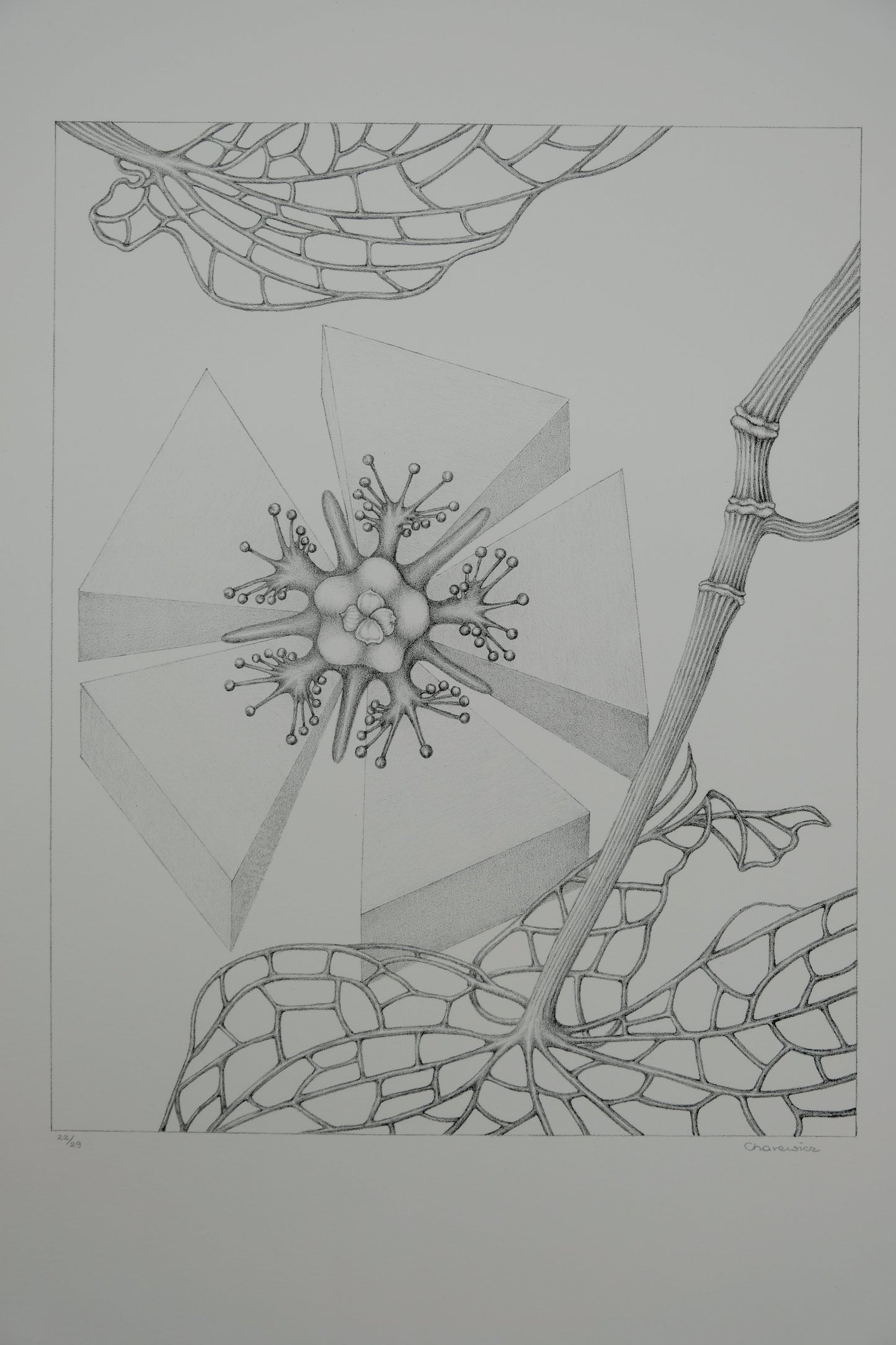 Gochka CHAREWICZ : Fleur triangulaire - Lithographie originale signée