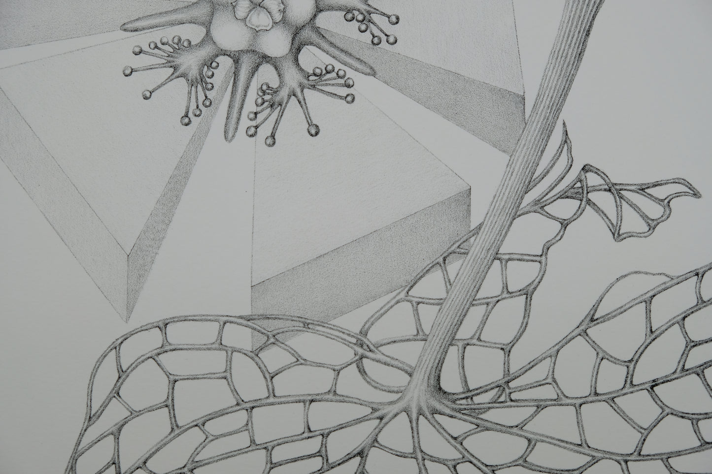 Gochka CHAREWICZ : Fleur triangulaire - Lithographie originale signée