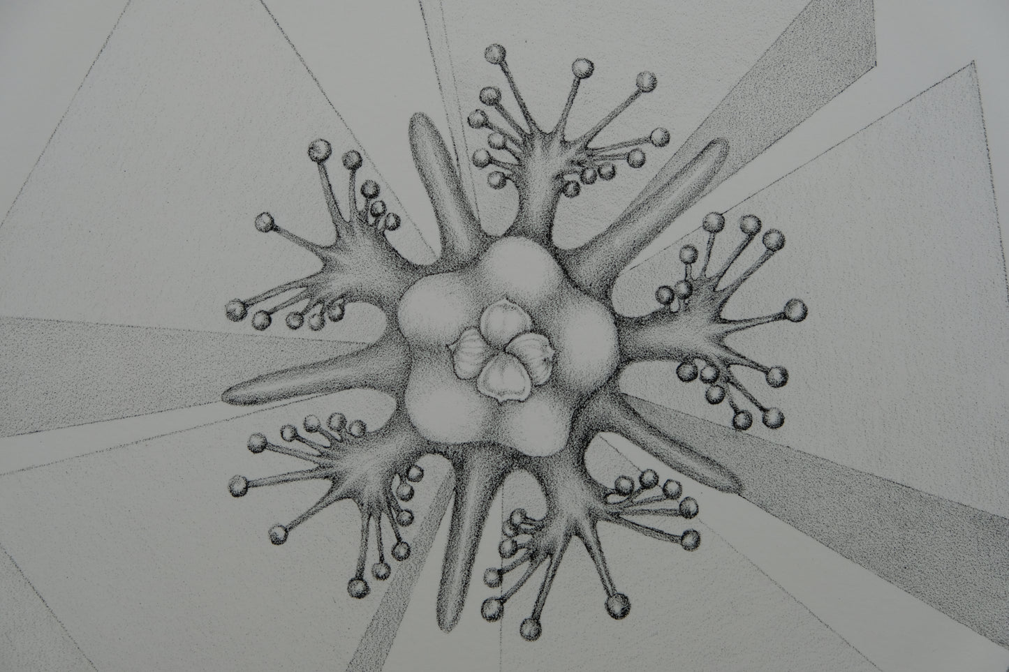 Gochka CHAREWICZ : Fleur triangulaire - Lithographie originale signée